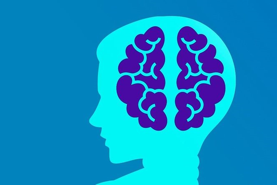 Learning - for Machines & Humans
